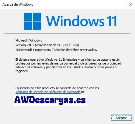 Windows 11 Pro ISO en Español