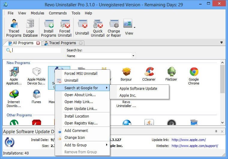 Revo Uninstaller Pro portable