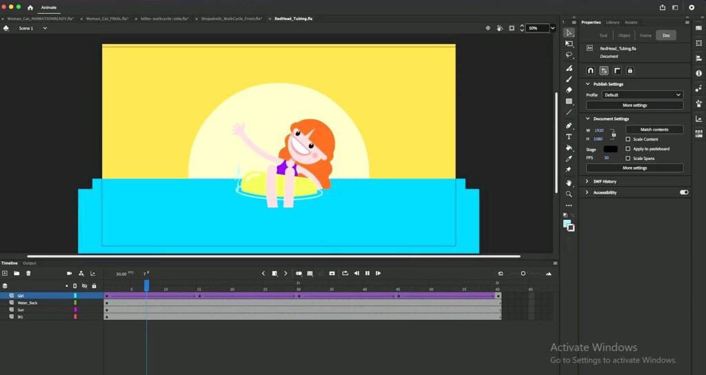Adobe Animate 2024 crack